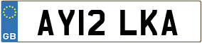 Truck License Plate